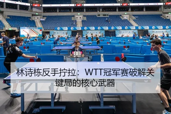 lin-shi-dong-fan-shou-ning-la-guan-jun-sai-po-jie-guan-jian-ju-de-he-xin-wu-qi-2-552.jpg