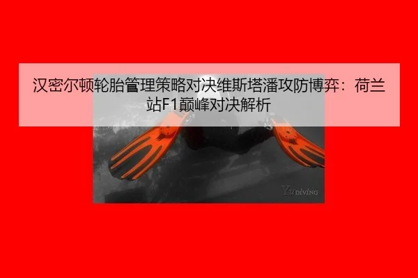 han-mi-er-dun-lun-tai-guan-li-ce-lve-dui-jue-wei-si-ta-pan-gong-fang-bo-yi-he-lan-zhan-dian-feng-dui-jue-jie-xi-2-891.jpg
