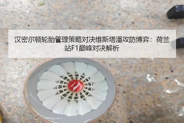 汉密尔顿轮胎管理策略对决维斯塔潘攻防博弈：荷兰站F1巅峰对决解析