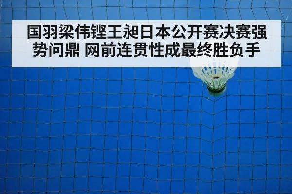 badminton net play